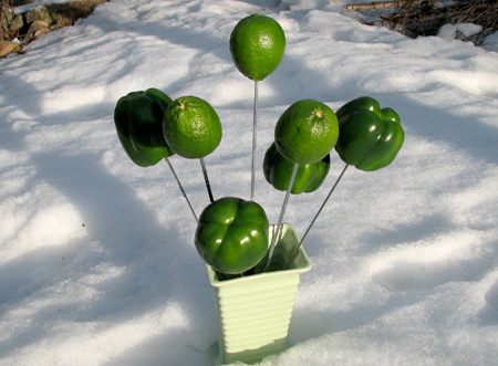 St. Patrick's Day alternative to green carnations.