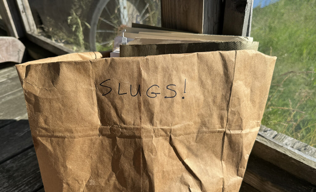 bag of slug info